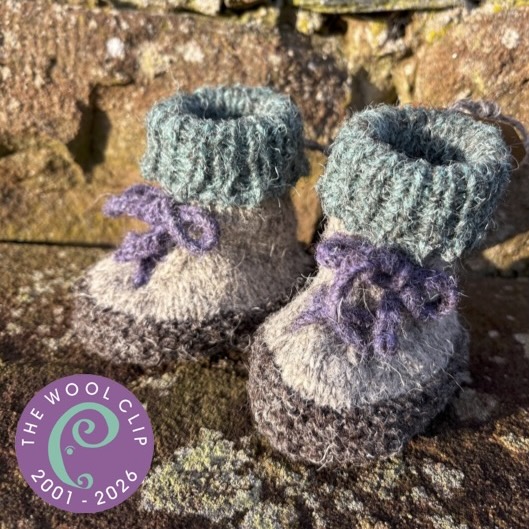 'My First Walking Boots' (25th Anniversary)