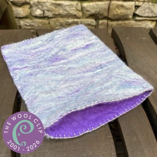 Hand Felted Ipad Sleeve (25th Anniversary)