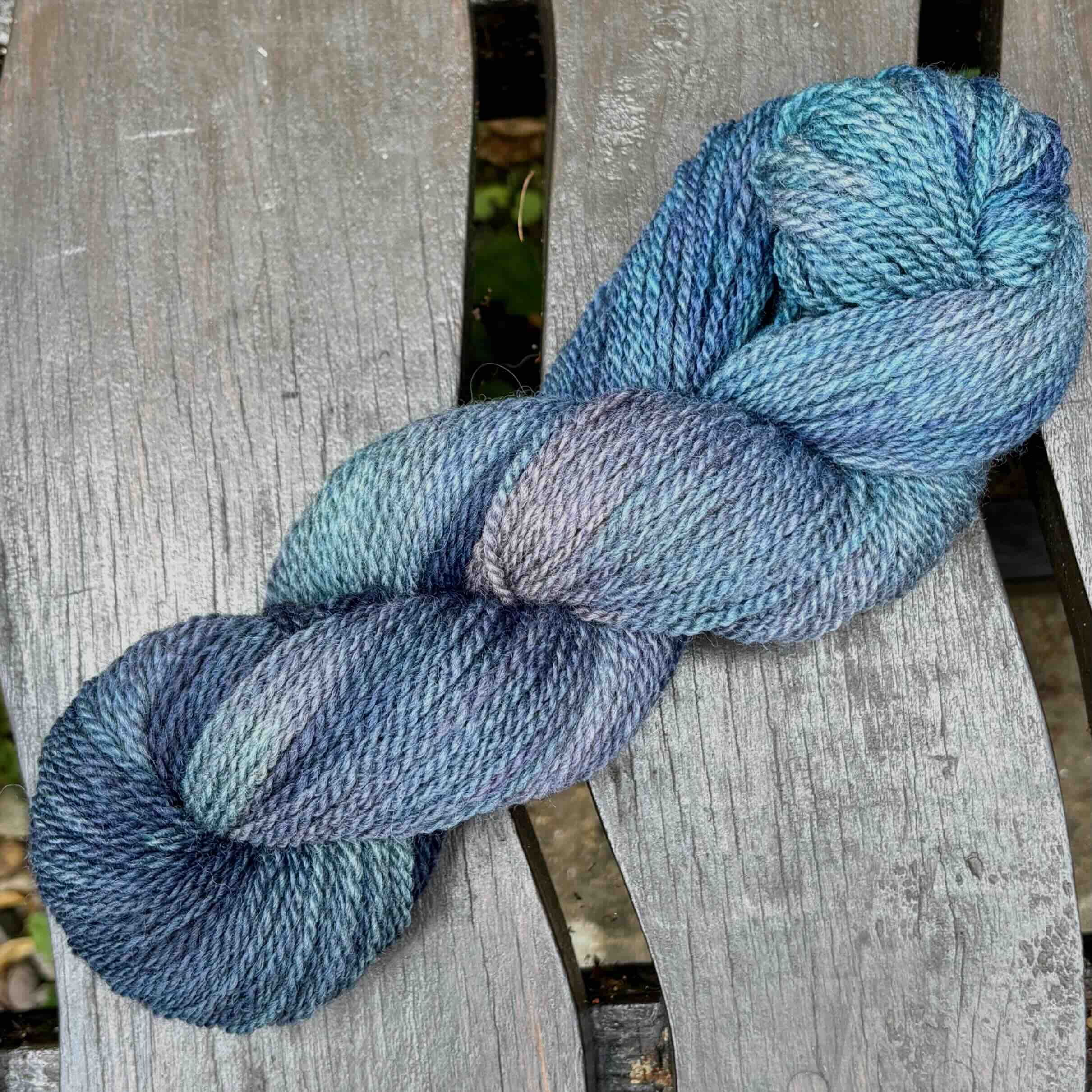 Blackthorn - DK:  BFL & Masham In F149