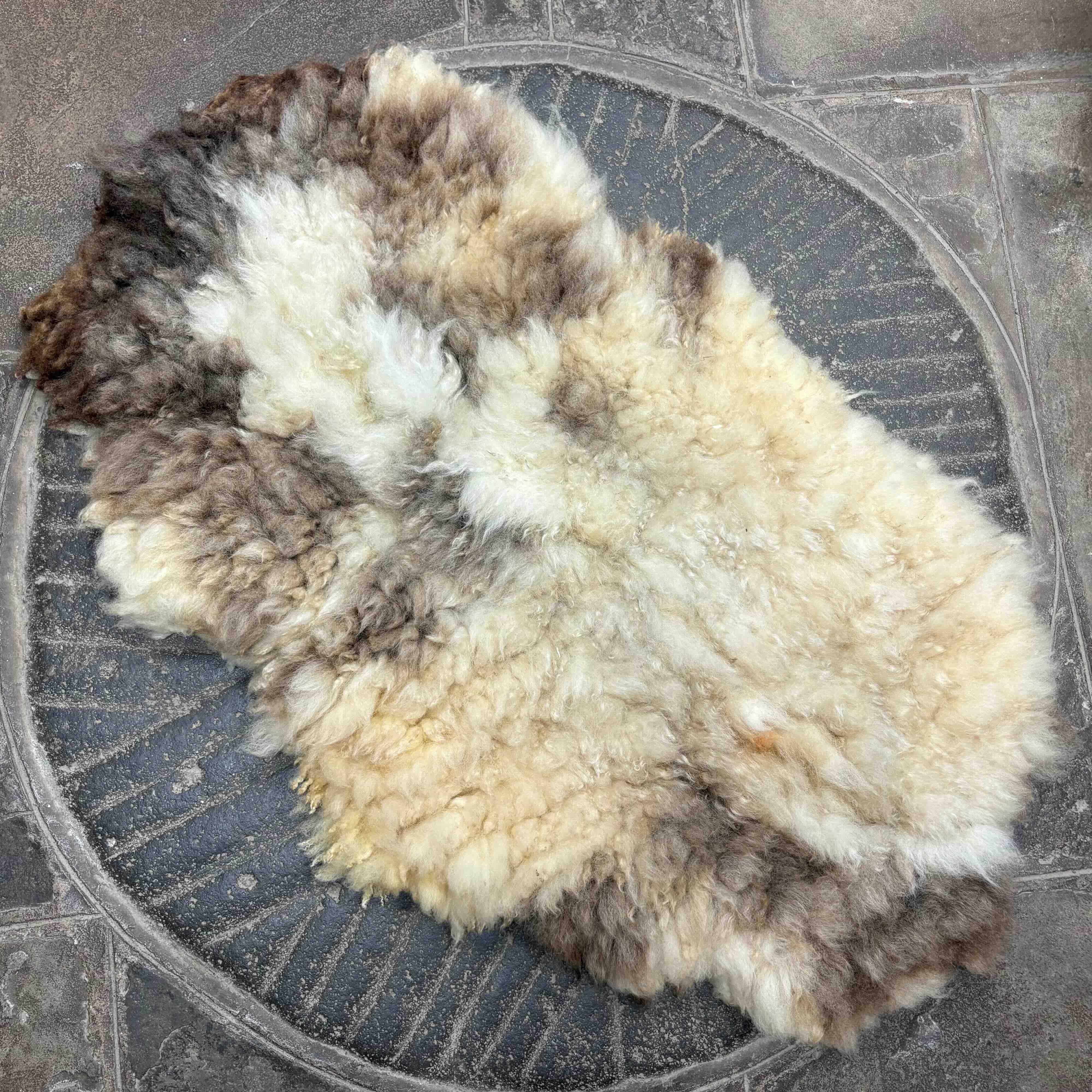 Hand Felted Fleece Rug – Jacob
