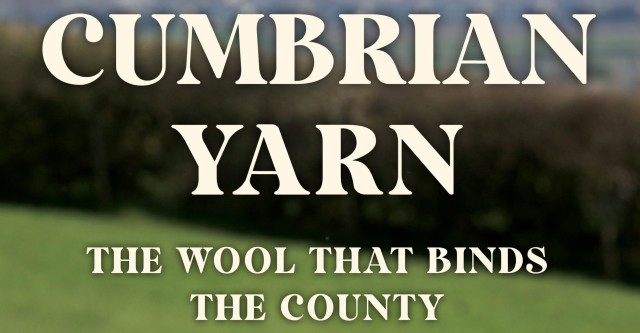 TItl_20250217-170713_1