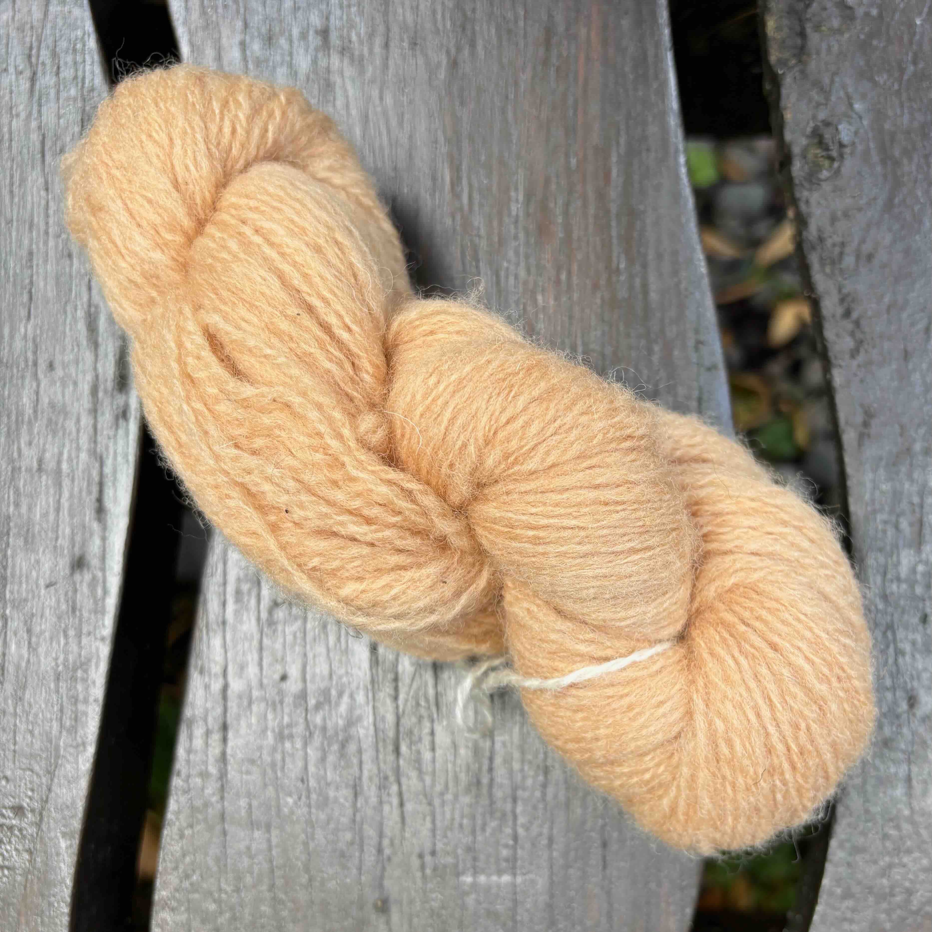 Plant Dyed and Handspun Native Breed Yarn