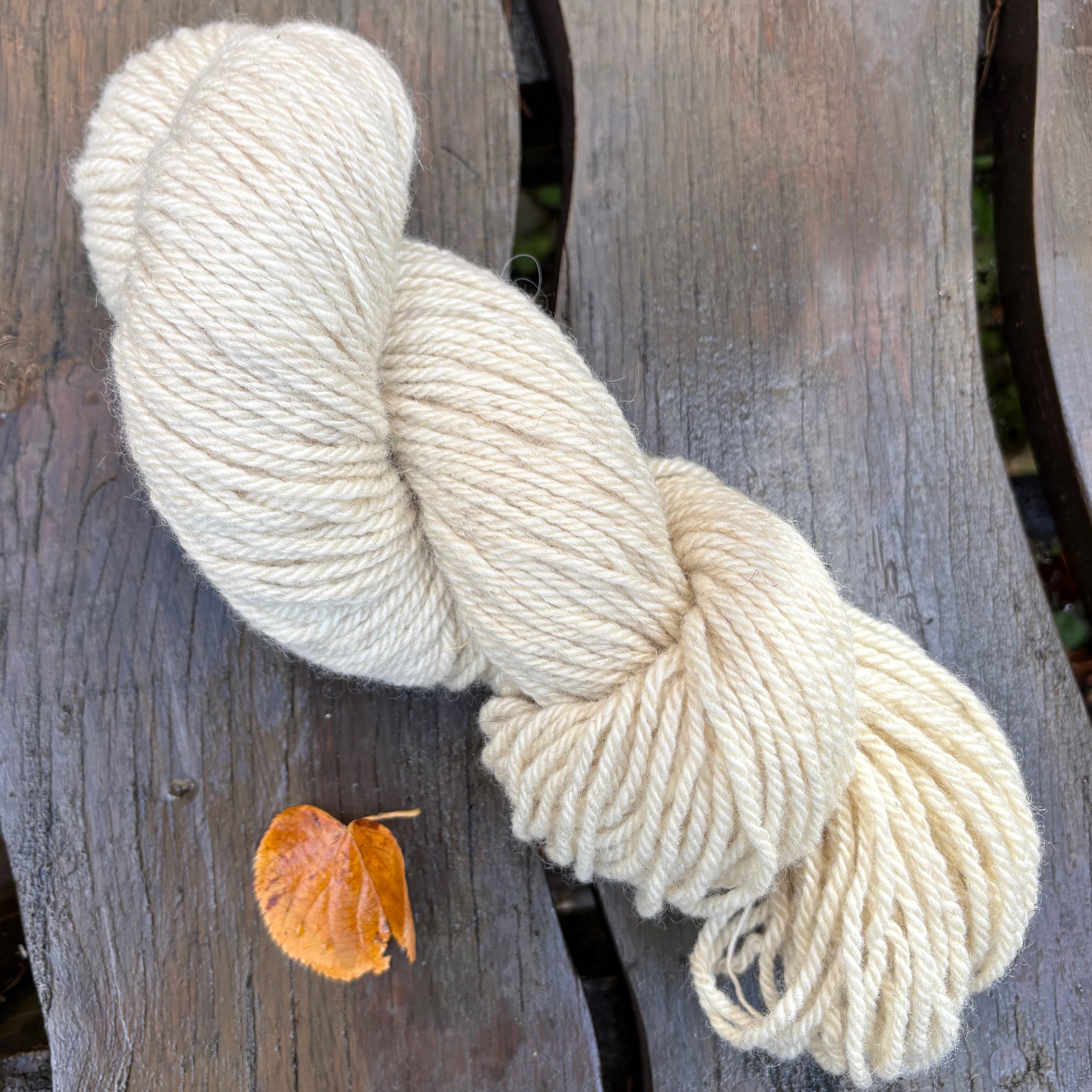 Aran: Bluefaced Leicester (BFL)